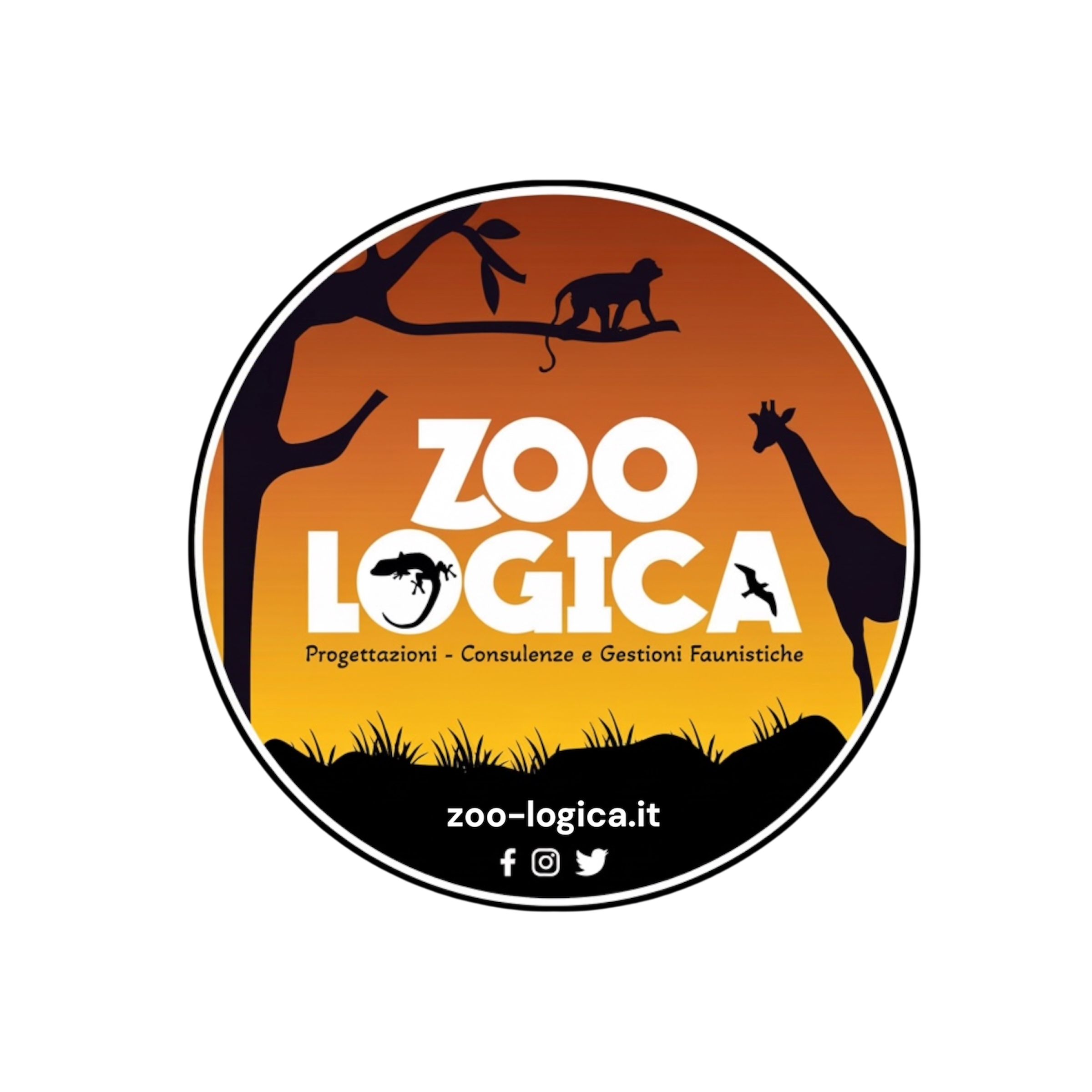 www.zoo-logica.it